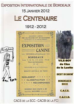 SITE WEB ELEVAGE DU CLOS DE LA LUETTE SPECIALISE POUR LE BOUVIER DES FLANDRES © COPYRIGHT DEPOSE